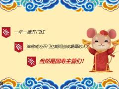 国寿周专题2020开门红你准备好了吗17页.pptx