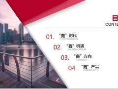 国寿2020开门红政策时代机遇方向产品解读46页.pptx