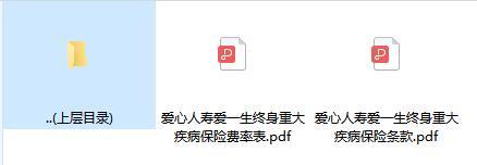 爱心人寿爱一生终身重大疾病保险条款费率.zip