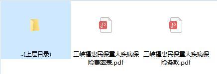 三峡福惠民保重大疾病保险条款费率.zip
