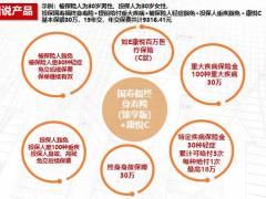 国寿福悦组合销售逻辑组合介绍示例课程训练含备注19页.pptx