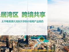 太平粤港澳大湾区共享医疗保险产品组合61页.pptx