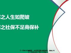 图解之人生如爬坡社保不足商保补含备注21页.pptx