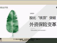 保险业开放股比铁顶突破外资保险变革19页.pptx