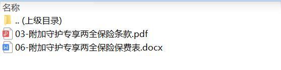 太平洋附加守护专享两全保险条款费率.zip