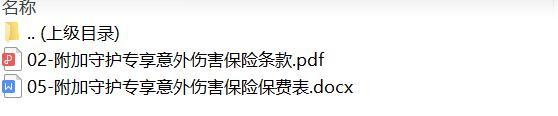 太平洋附加守护专享意外伤害保险条款费率.zip