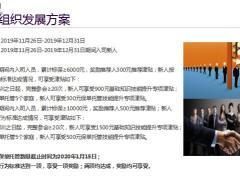 年末冲刺12月组织发展方案个人业务方案产品专项推动方案19页.pptx
