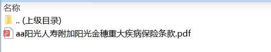 阳光人寿附加阳光金穗重大疾病保险条款.zip