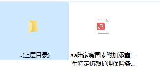 陆家嘴国泰附加添鑫一生特定伤残护理保险条款.rar