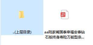 陆家嘴国泰幸福安泰钻石版终身寿险万能型条款.zip
