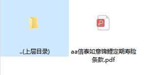 信泰如意锦鲤定期寿险条款.rar
