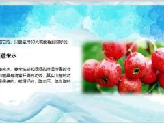 每日健康肚子上有千层肉用1种果子泡水喝坚持1个月比减肥药管用7页.ppt