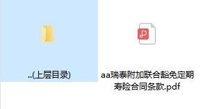 瑞泰附加联合豁免定期寿险合同条款.zip
