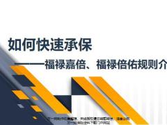 太平福禄嘉倍福禄倍佑规则介绍16页.pptx