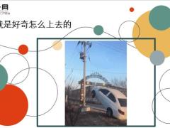 每日快乐早会19年11月13日使用12页.ppt