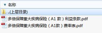 新华多倍保障重大疾病保险A1款利益条款费率.zip