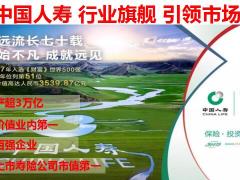 经营成果报告会产说会流程国寿版29页.pptx