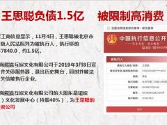 王思聪神话破灭看保险规划29页.pptx