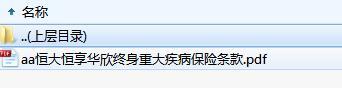 恒大恒享华欣终身重大疾病保险条款.rar