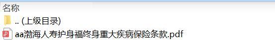 渤海人寿护身福终身重大疾病保险条款.zip