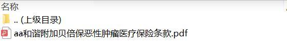 和谐附加贝倍保恶性肿瘤医疗保险条款.zip