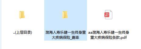 渤海人寿乐健一生终身重大疾病保险条款费率投保保全规则.zip