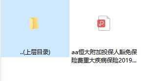 恒大附加投保人豁免保险费重大疾病保险2019版条款.zip