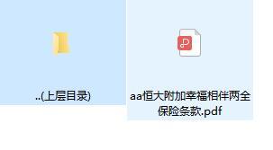 恒大附加幸福相伴两全保险条款.zip