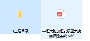 恒大附加恒安康重大疾病保险条款.zip