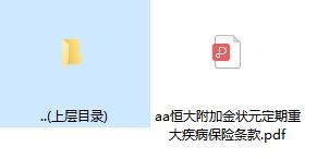 恒大附加金状元定期重大疾病保险条款.zip