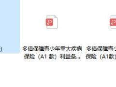 新华多倍保障青少年重大疾病保险A1款利益条款费率.zip