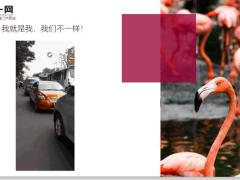 每日快乐早会19年11月19日使用12页.ppt