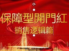 国寿保障型产品2020开门红销售逻辑篇39页.pptx