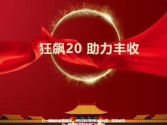 国寿福庆典版产品介绍目标群体53页.pptx