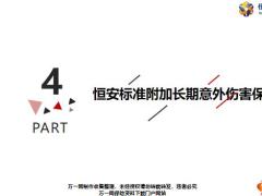 恒安标准附加长期意外伤害保险附加守护无忧医疗产品形态特色12页.pptx