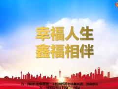 国寿鑫福临门销售逻辑29页.ppt