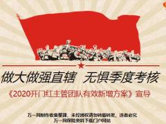 2020开门红主管团队有效新增方案宣导29页.pptx