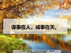 每日鸡汤谋事在人成事在天.zip