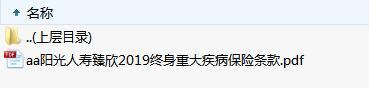 阳光人寿臻欣2019终身重大疾病保险条款.zip