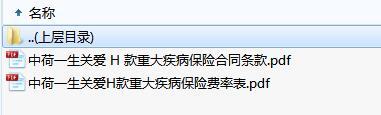 中荷一生关爱H款重大疾病保险合同条款费率.zip