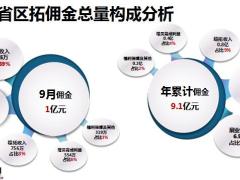 全省区拓收入分析报告收入构成概述优秀团队个人榜33页.pptx