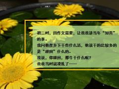 每日快乐早会19年11月21日使用12页.ppt