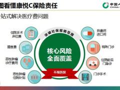 国寿2020保障型主打产品知识回顾组合学习39页.pptx