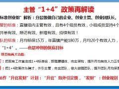 外引标准组的好处方法如何外引1加4标准组51页.pptx