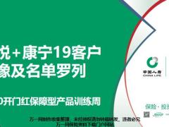 国寿康悦加康宁19客户画像分析话术名单罗列21页.pptx