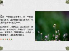 每日鸡汤要改变命运先改变观念.zip