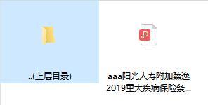 阳光人寿附加臻逸2019重大疾病保险条款.zip