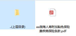渤海人寿附加豁免保险费疾病保险条款.zip