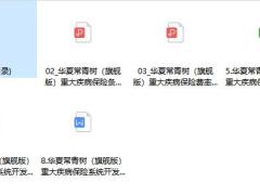 华夏常青树旗舰版重大疾病保险条款费率投核保保全.zip