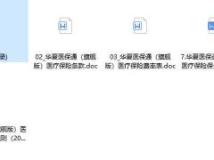 华夏医保通旗舰版医疗保险条款费率投核保保全规则.zip